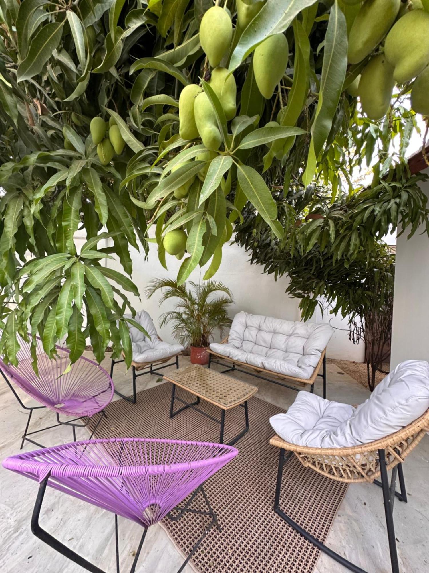 Curiol Boutique Hotel & Lounge Потреро Екстериор снимка